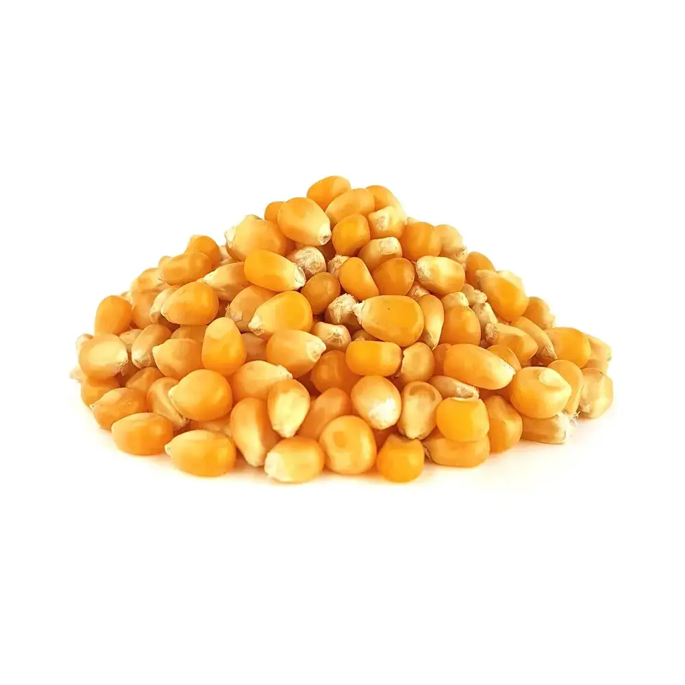 ذرت اعلا