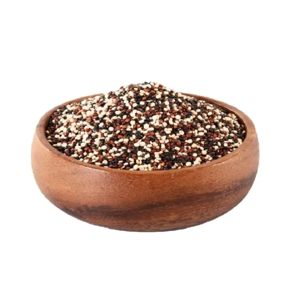 بذر دانه کینوا رنگی
