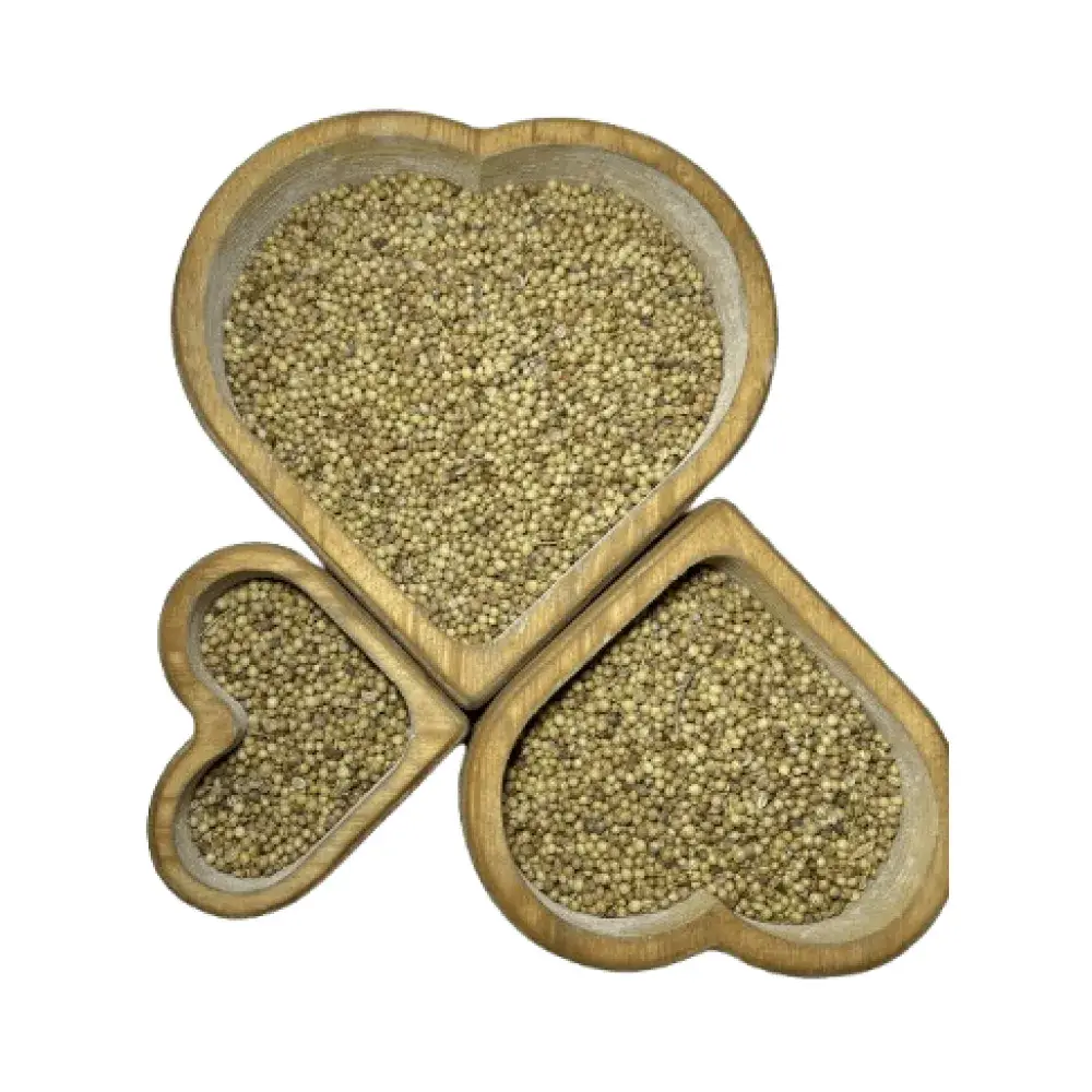 تصویر تخم گشنیز 