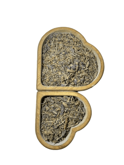 اسطوخودوس