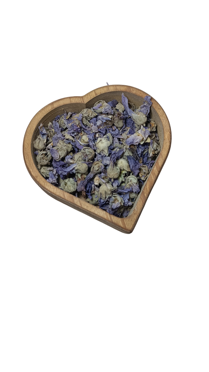 گل ختمی رنگی