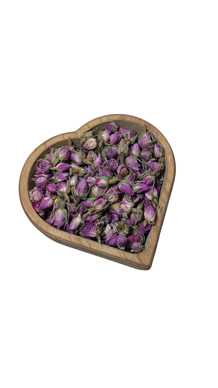 گل محمدی
