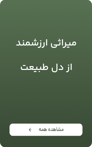 تصویر شگفت انگیز